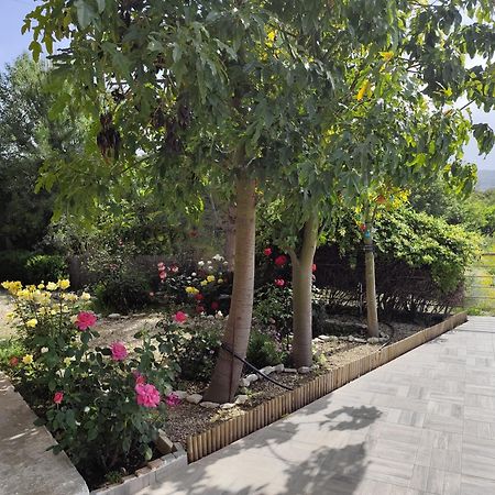 Roses Villa Trimiklini Buitenkant foto