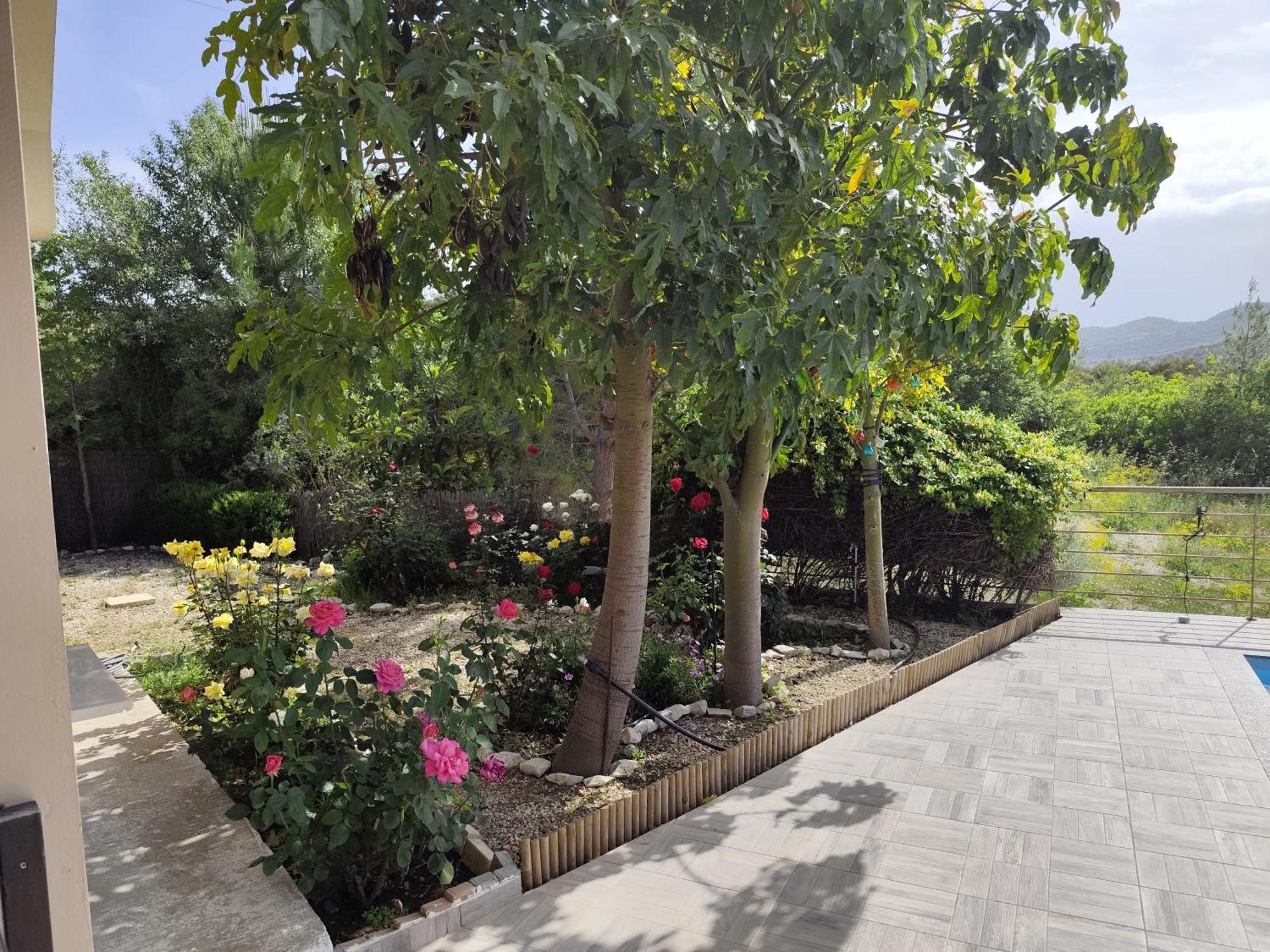 Roses Villa Trimiklini Buitenkant foto