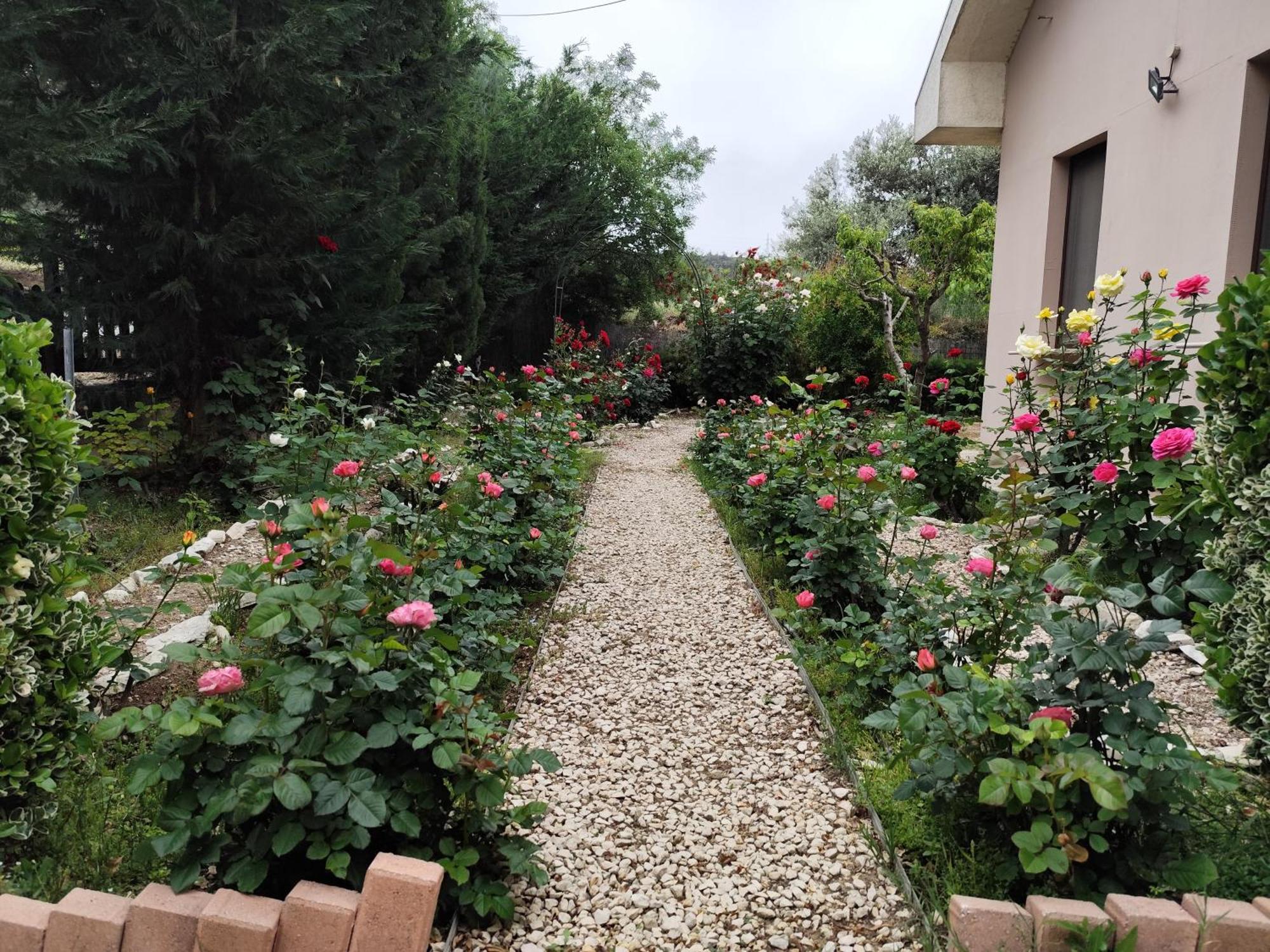 Roses Villa Trimiklini Buitenkant foto